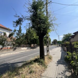 Kossuth Lajos utca