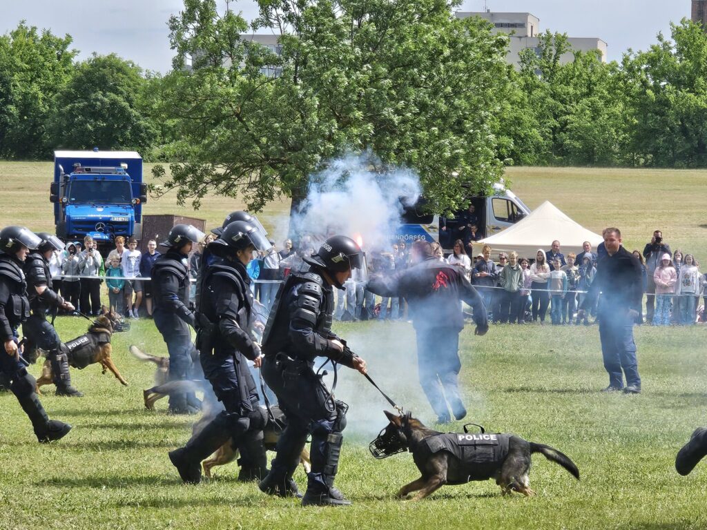 702732187_984625617481100_3283309720222398693_n